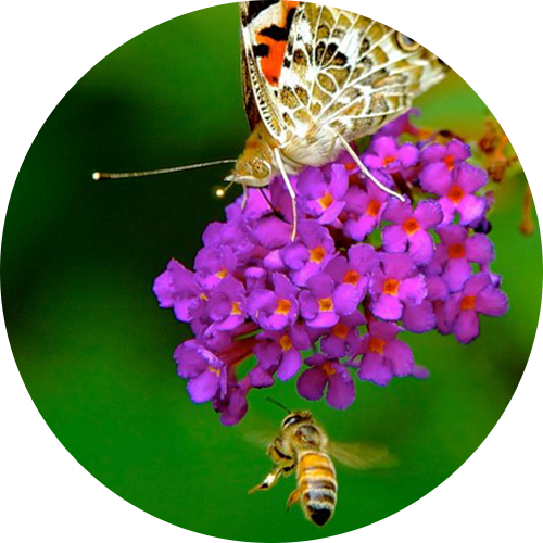 Go to the Relating to Others session